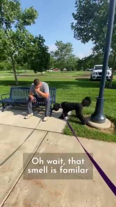 Dog still recognizes friend after 10 months