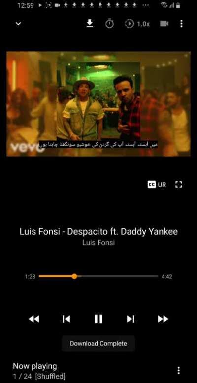 Despacito Urdu translation is....... Something else