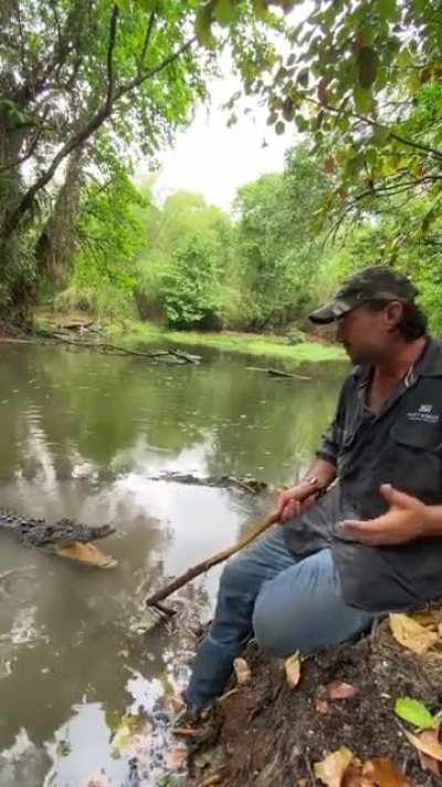 Aussie bloke casually pushing away a crocodile with a stick