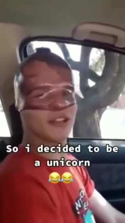 Unicorndom