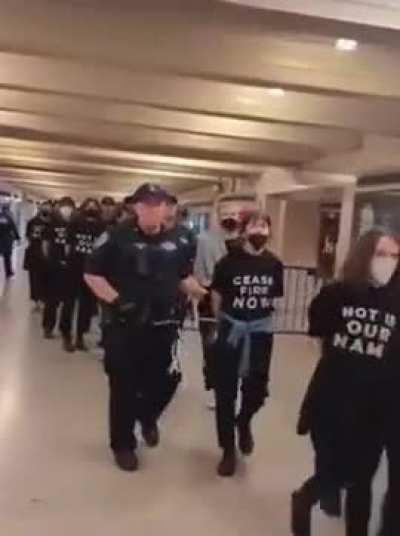 Hundreds of Jewish people in New York City arrested for peacefully protesting against genocide. This is fascist dictatorship.