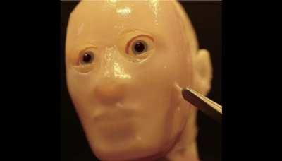 Japanese scientists put living human skin on robot faces