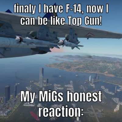 I like bullying F-14 players 