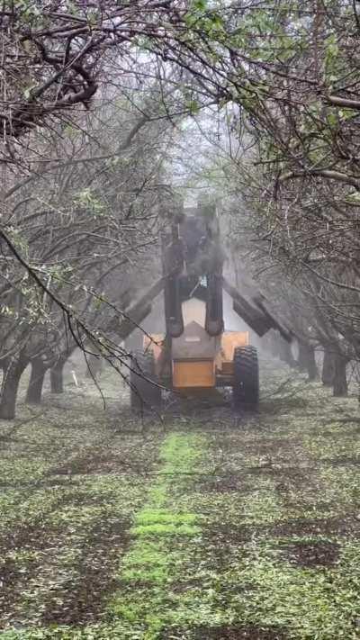 Tree trimming machine