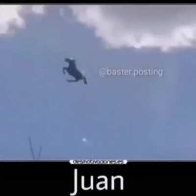 Que haces ahí Juan?