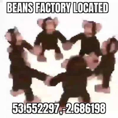 Can't wait to go to the beans factory :)