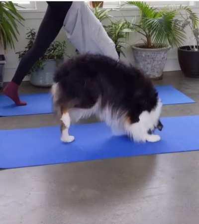 Yoga with your best friend