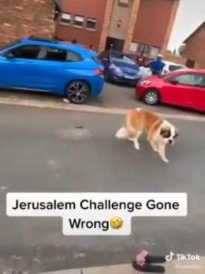 Got to love South Africa! Jerusalema: Dance gone wrong