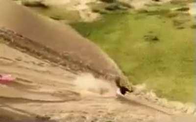 WCGW sliding down a sand dune