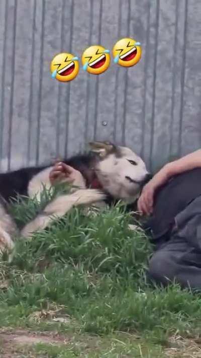 After drinking too much, a man takes a nap in the company of his best friends.