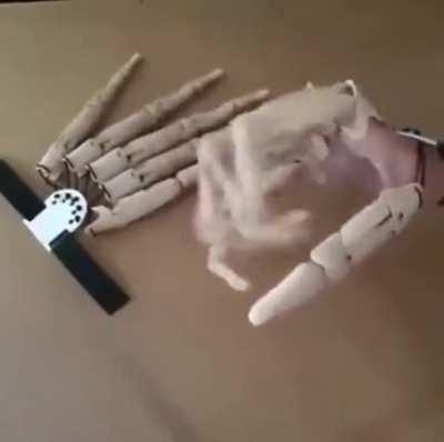 Articulated fingers