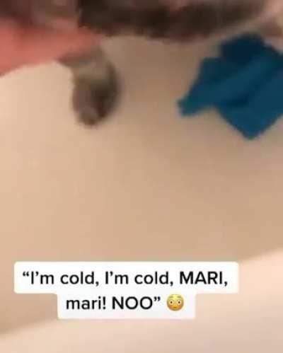 No mari he's cold