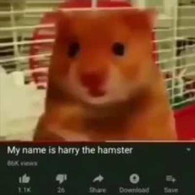 🐹🔥