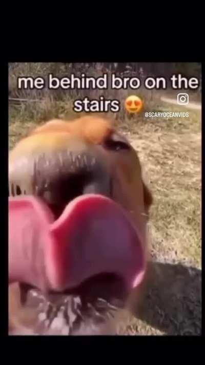 stairs bro me behind the