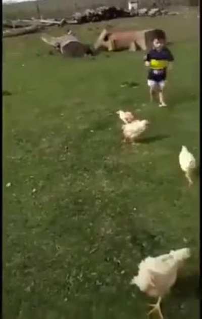 Gallina esperanos un poquito más 🐓🔪