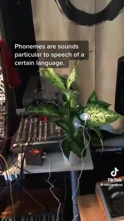 man does experiments with plant consciousness