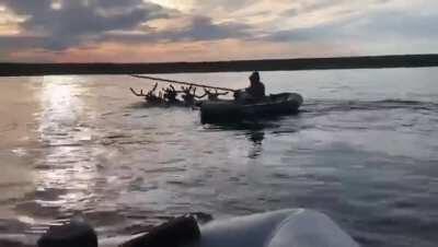 This amphibious sled pulled by Reindeer in Yakutia, Siberia.