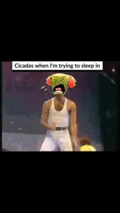 Made this when my area (Mid Atlantic US) was being swarmed with cicadas and their loud mating calls