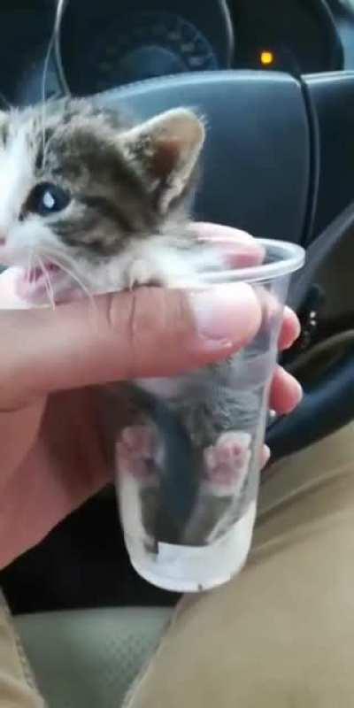 Cup sized