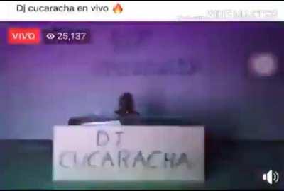 DJ cucaracha