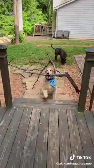 So proud of his stick