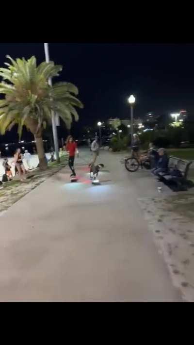 Dog that learned how to ride a one wheel