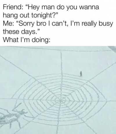 Gotta let aliens know we got some spider bros