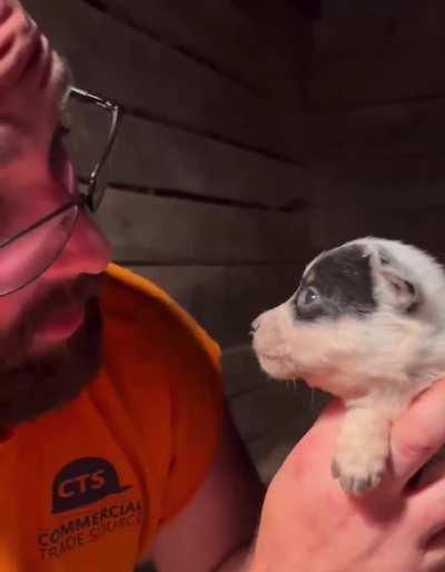 3 Week Old Pup Has A Story To Tell