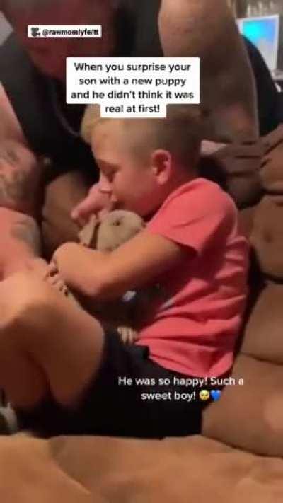 Family surprises boy with new puppy