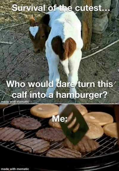 It'd make a good burger