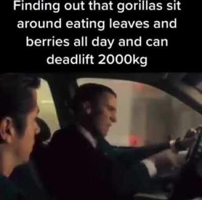 🦍