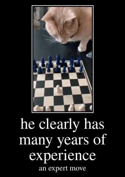 Chess rule