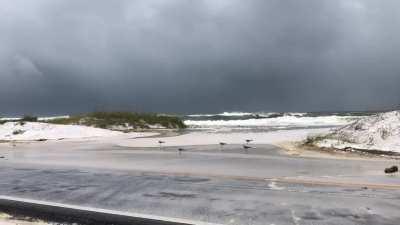 High surf on Pensacola Beach, FL from Sally