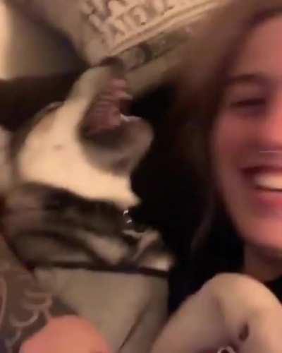 Her laugh, the doggo noises. *chefs kiss*