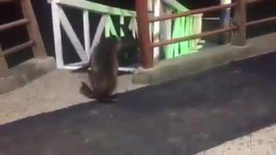 Sea Lions having a lover’s tiff on the Galapagos Islands