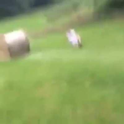 Trying to jump over a hay bale