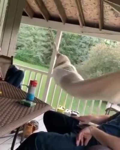 WCGW if I keep rolling in a hammock