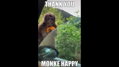 yoo thankss hooman 🐒🐒