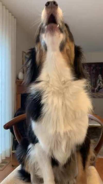 She Loves to Chat at the Counter