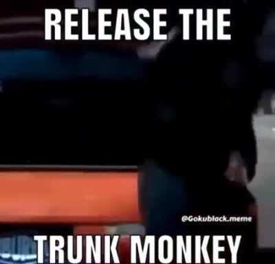 MONKEY