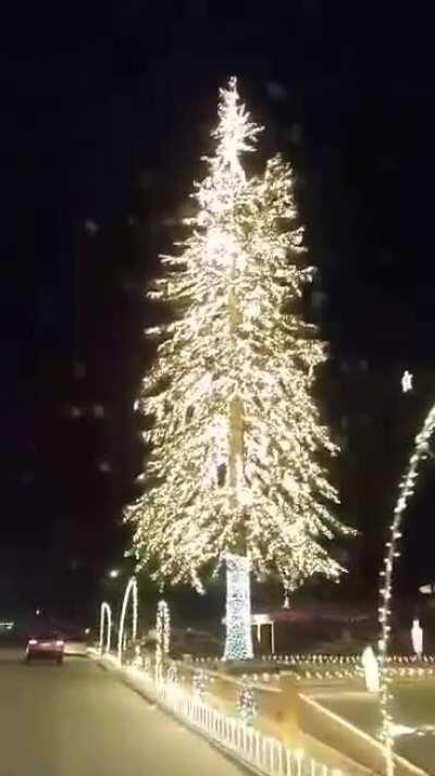 Lighting the tree