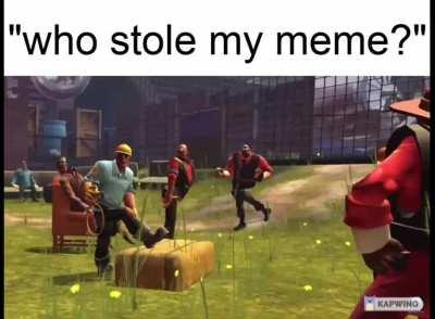 who stole my meme