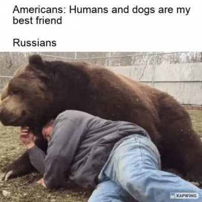 Bears are the best