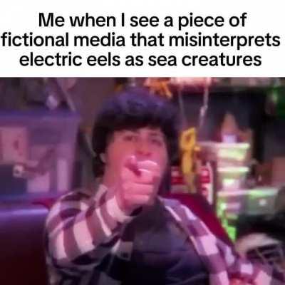 For the last time Electric eels are fresh water creatures, THEY DON'T LIVE IN THE DAMN SEA