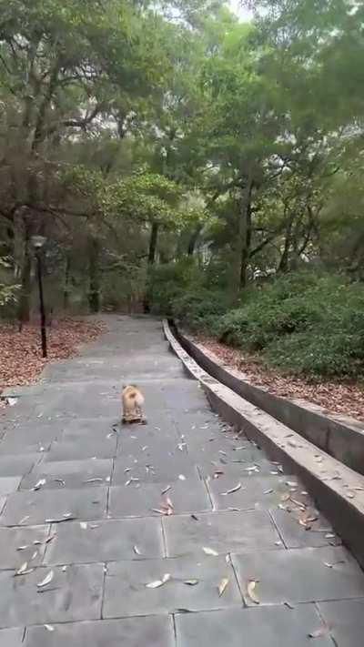 He was a skater boy