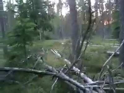 &quot;Strange Russian Yeti Creature Caught On Tape Hopping&quot; - A file I found from 2 years ago