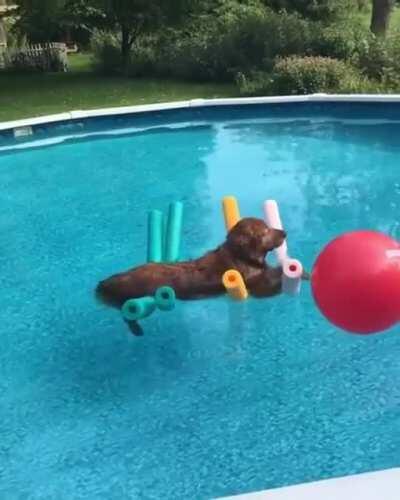 Peaceful float in the pool