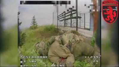 68 separate hunting brigade caught two invaders curled up together and hidding from the Ukrainians.