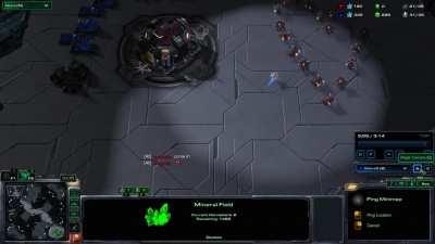 The ultimate terran cheese