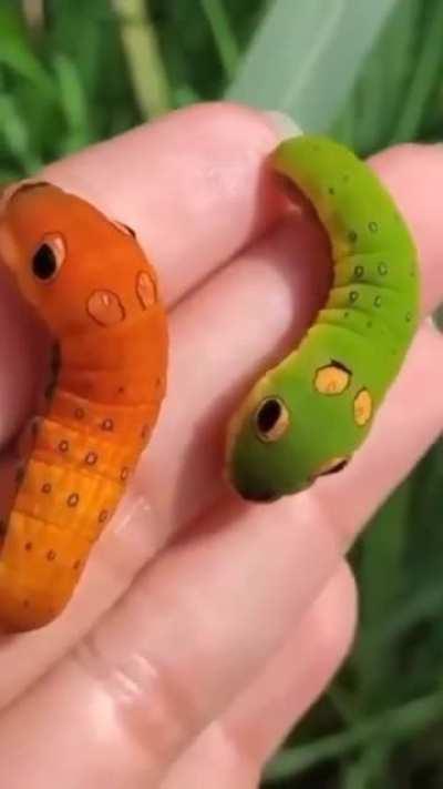 Emojimons ..Like tiny snakes with a blep